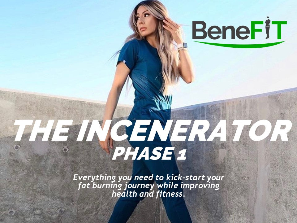 THE INCENERATOR PHASE 1